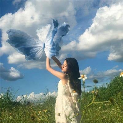 翅膀下的风