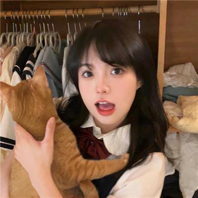 我爱猫头鹰